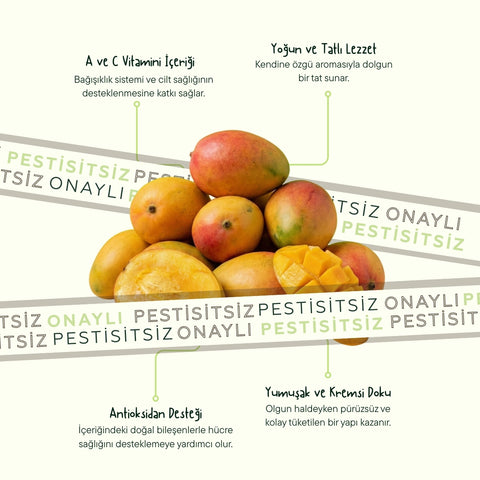 Mango Adet (450 Gr Üstü)