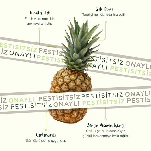 Ananas 2 Adet