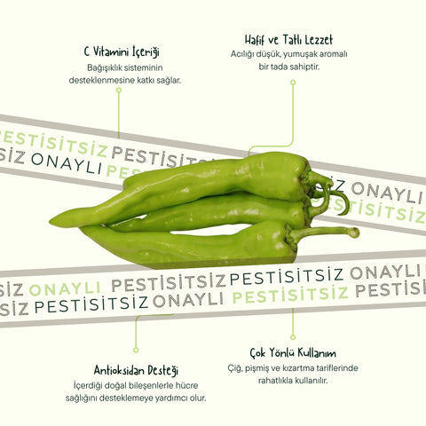 Yeşil Charleston Biber 500 Gr