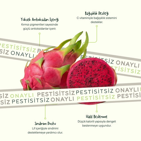 Ejder Meyvesi (Pitahaya) Kırmızı Adet