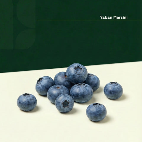 Yaban Mersini (Blueberry) 125 Gr