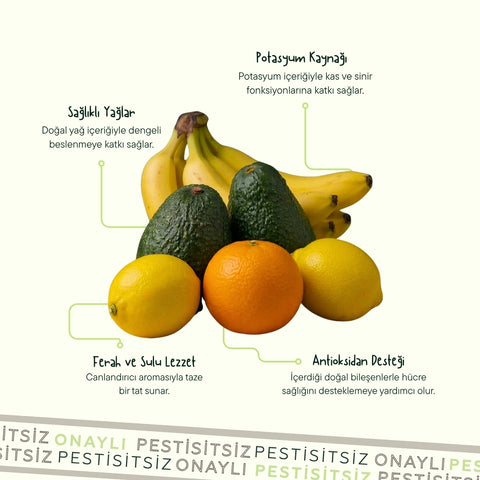 3 Kg Avokado+1 Kg Limon+1 Kg Muz+1 Kg Portakal