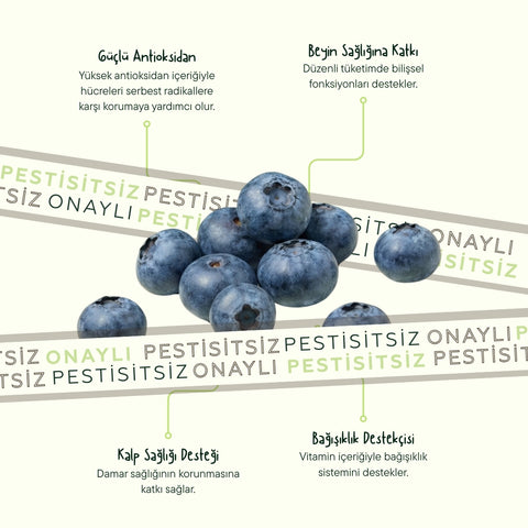Yaban Mersini (Blueberry) 125 Gr