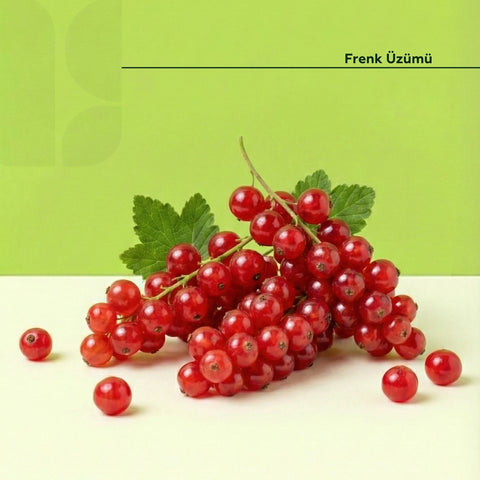 Frenk Üzümü (Redberry) 125 Gr