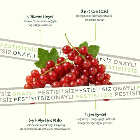 Frenk Üzümü (Redberry) 125 Gr