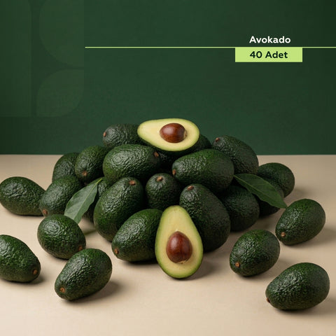 Avokado 40 Adet (100-140 Gr Üstü)