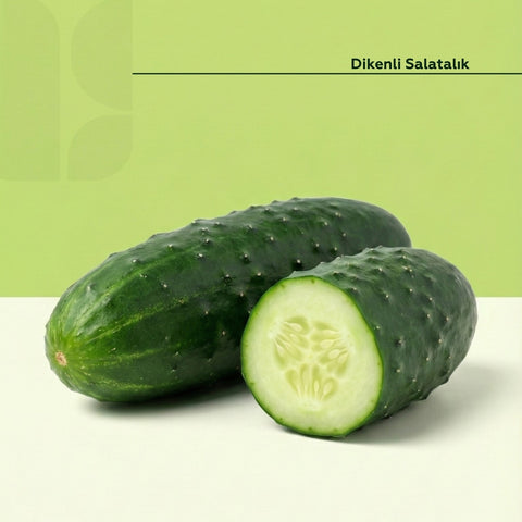 Dikenli Salatalık 500 Gr