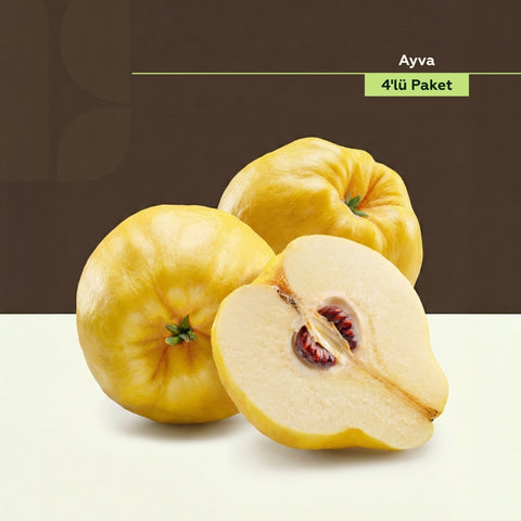 Ayva 500 Gr 4'Lü Paket