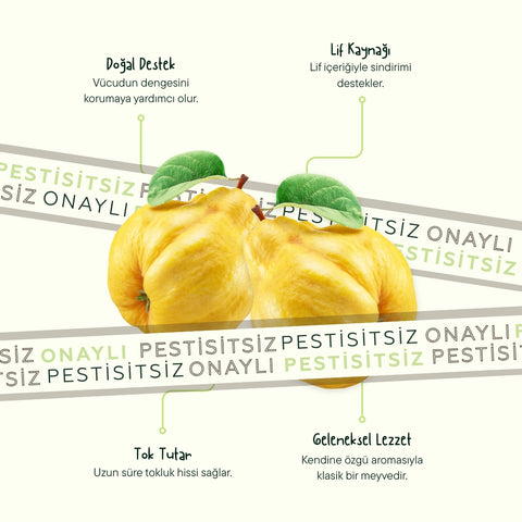 Ayva 500 Gr 4'Lü Paket