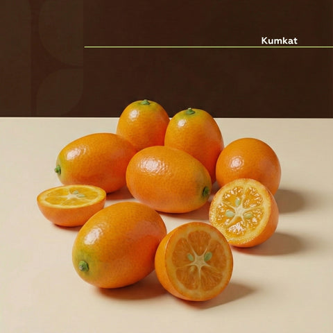 Kumkat 500 Gram Paket