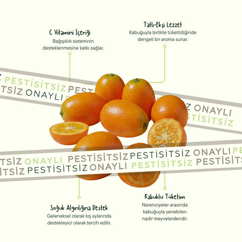 Kumkat 500 Gram Paket