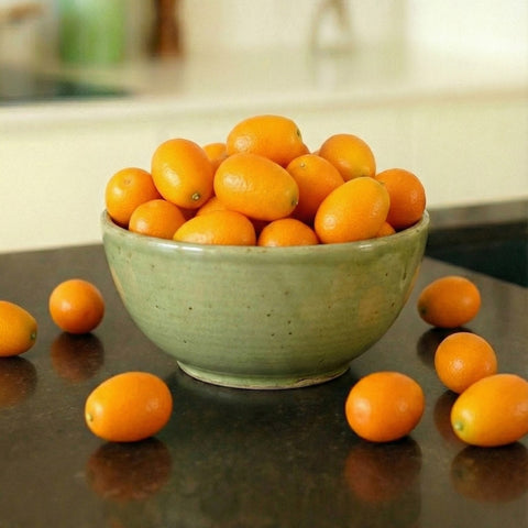 Kumkat 500 Gram Paket