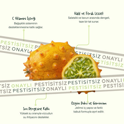 Kiwano Meyvesi 5 Adet