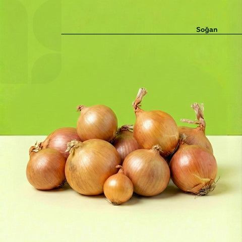 Kuru Soğan 500 Gr